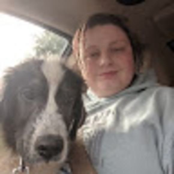 Meet your Posher, Windy - Picture 1 of 1